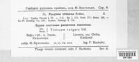 Puccinia recondita image